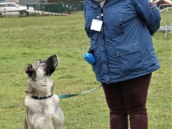 Photos Education 23/01/2021